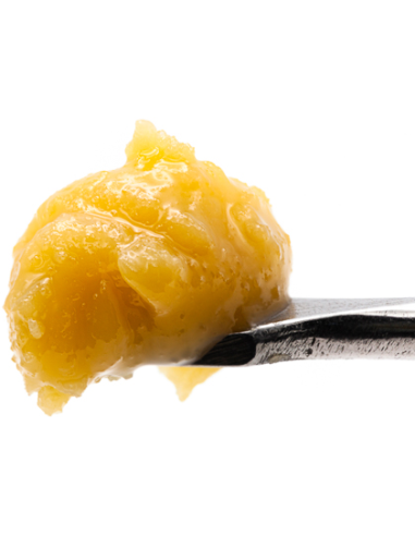 Live Resin Royal Honey en Gijón