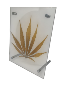 Cuadro Hoja Cannabis en Gijón