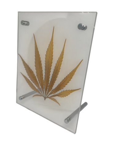 Cuadro Hoja Cannabis en Gijón