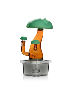 Bong Bonsai en Gijón