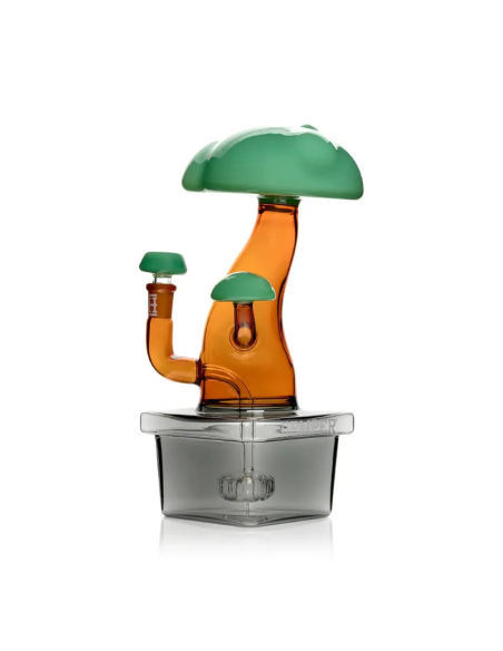 Bong Bonsai en Gijón