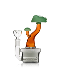 Bong Bonsai en Gijón 2