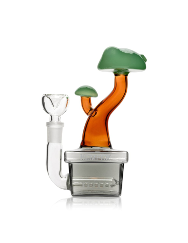 Bong Bonsai en Gijón