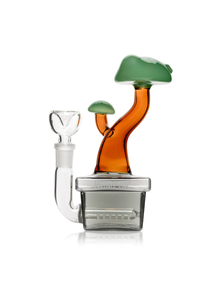 Bong Bonsai en Gijón