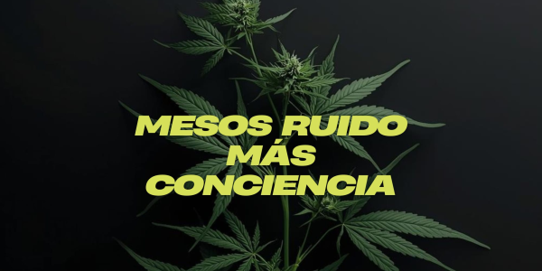 Menos ruido, más conciencia. Cuando lo “nuevo” ya no es mejor
